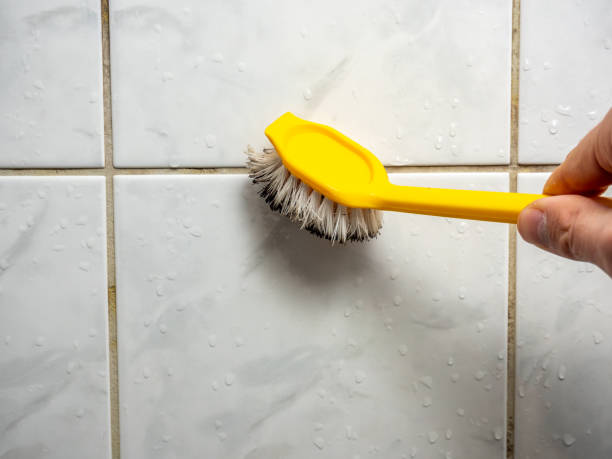Best Affordable Mold Removal  in Richlands, NC
