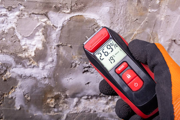 Trusted Richlands, NC Mold Removal Experts