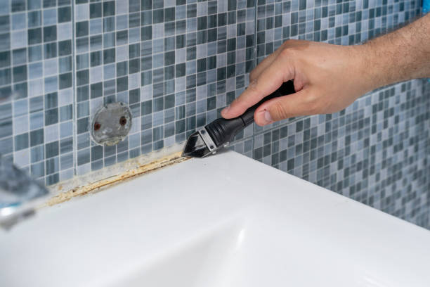 Best Fast Mold Removal  in Richlands, NC