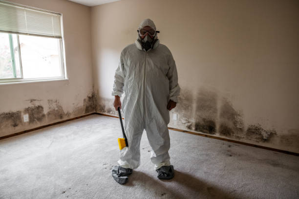 Best Affordable Mold Removal  in Richlands, NC