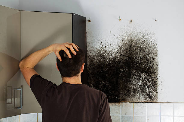 Best Emergency Mold Removal  in Richlands, NC